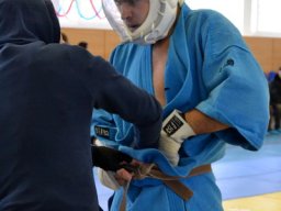 Чемпионат ЦФО 2012 г.