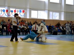 Чемпионат ЦФО 2012 г.